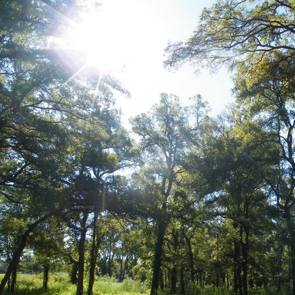 Meet your Posher, Emiko - Picture 1 of 1